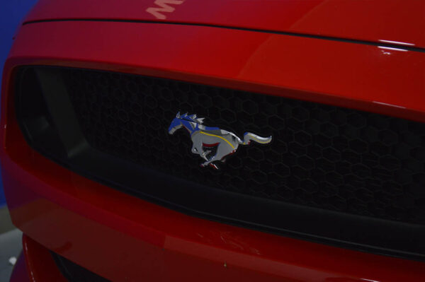 Mustang - 5616KM - Imagen 11