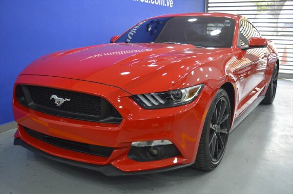 Mustang - 5616KM